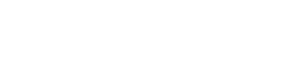 Full Vision Capital